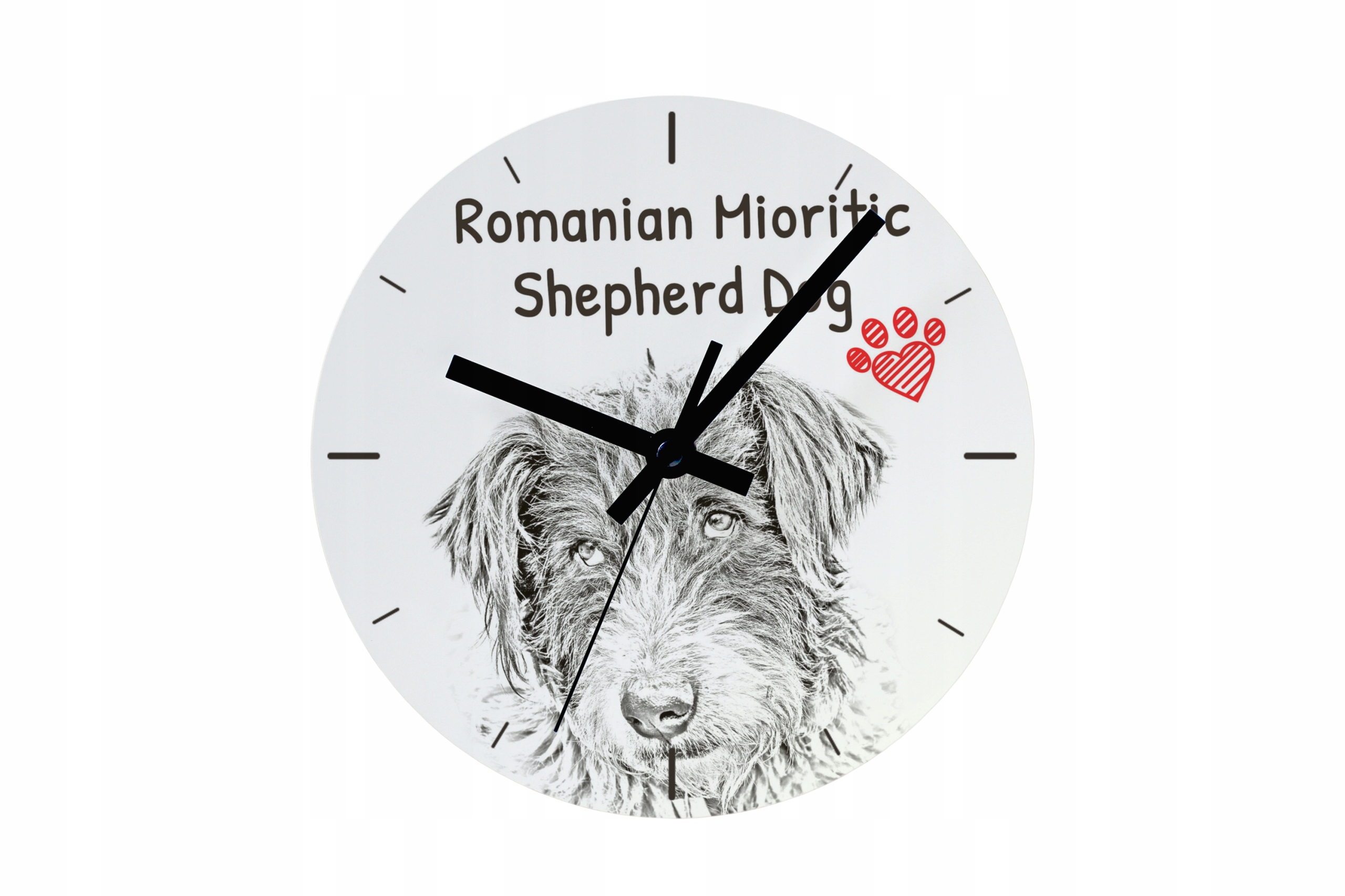 Ciobance Romanesc Mioritic hodiny se psem, závěsné a stojící, personalizace