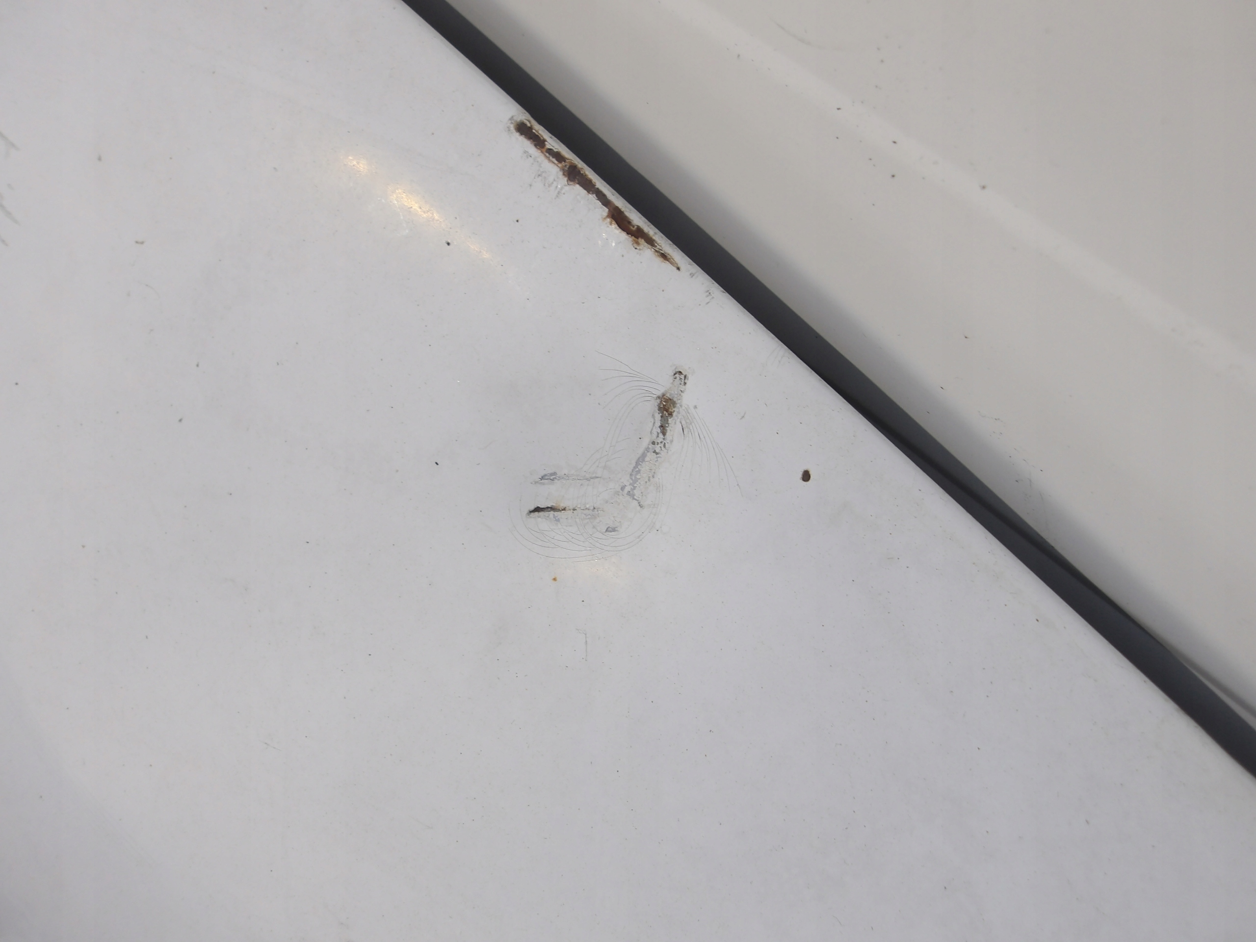 RENAULT MASCOTT 03-10 bonnet front