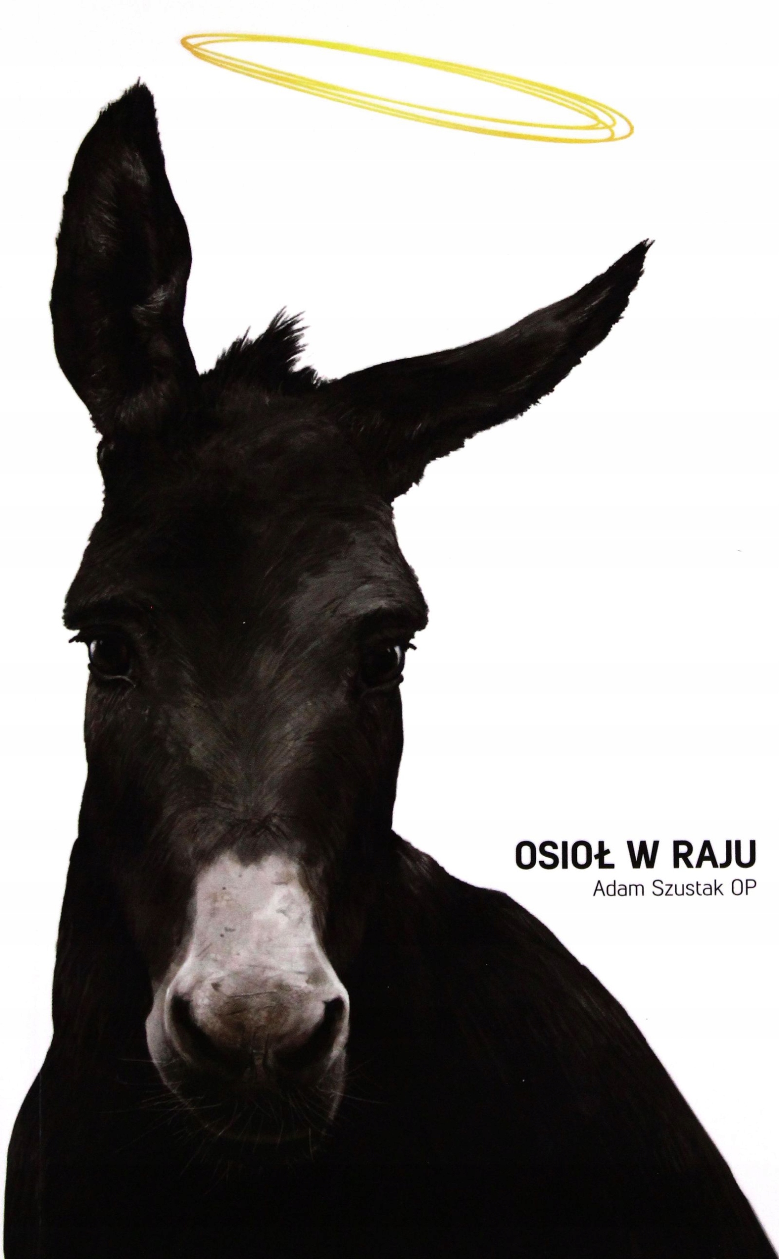 

Osioł W Raju Adam Szustak (książka)