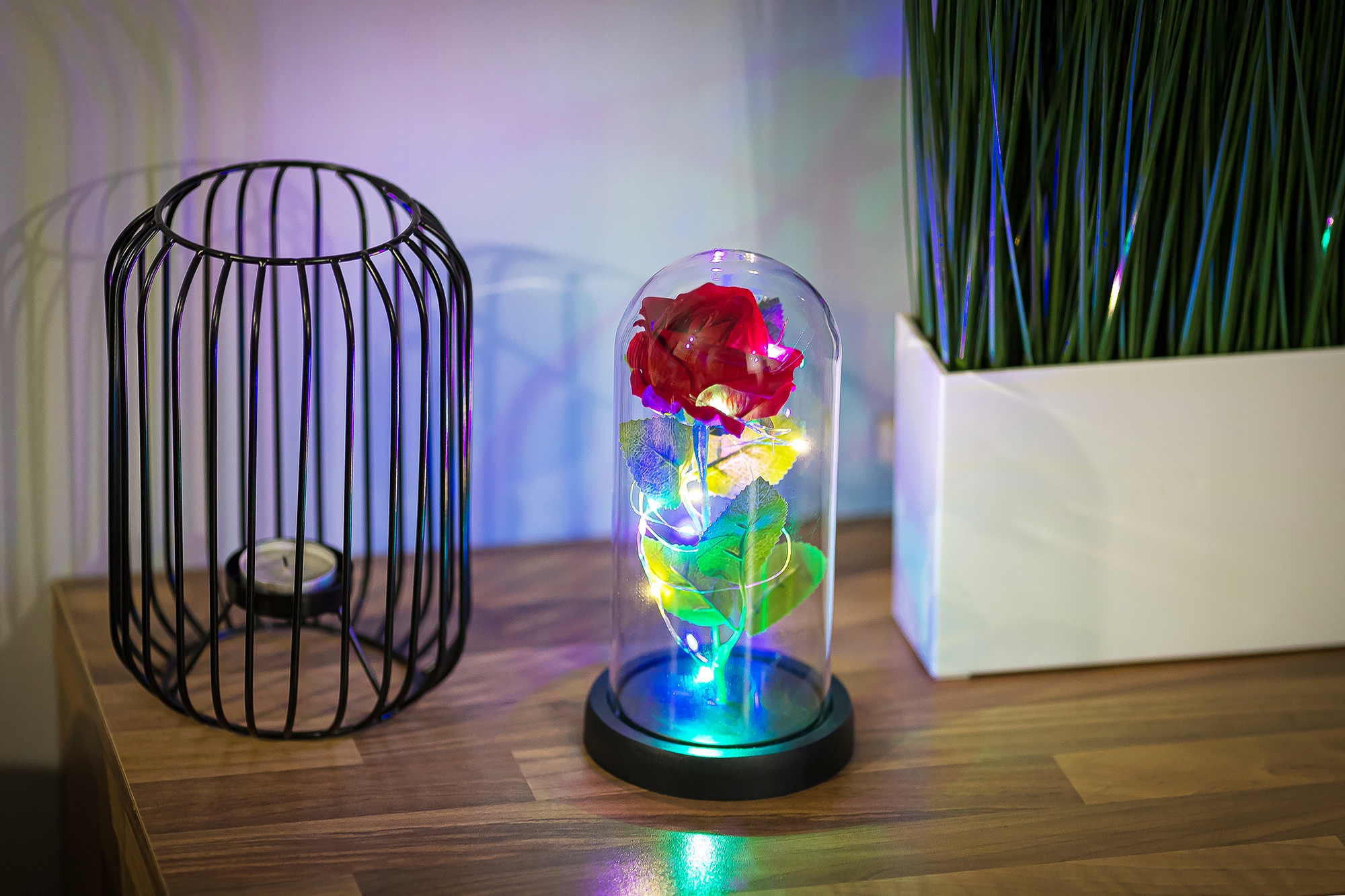 727268394dcca2caf69e81755842