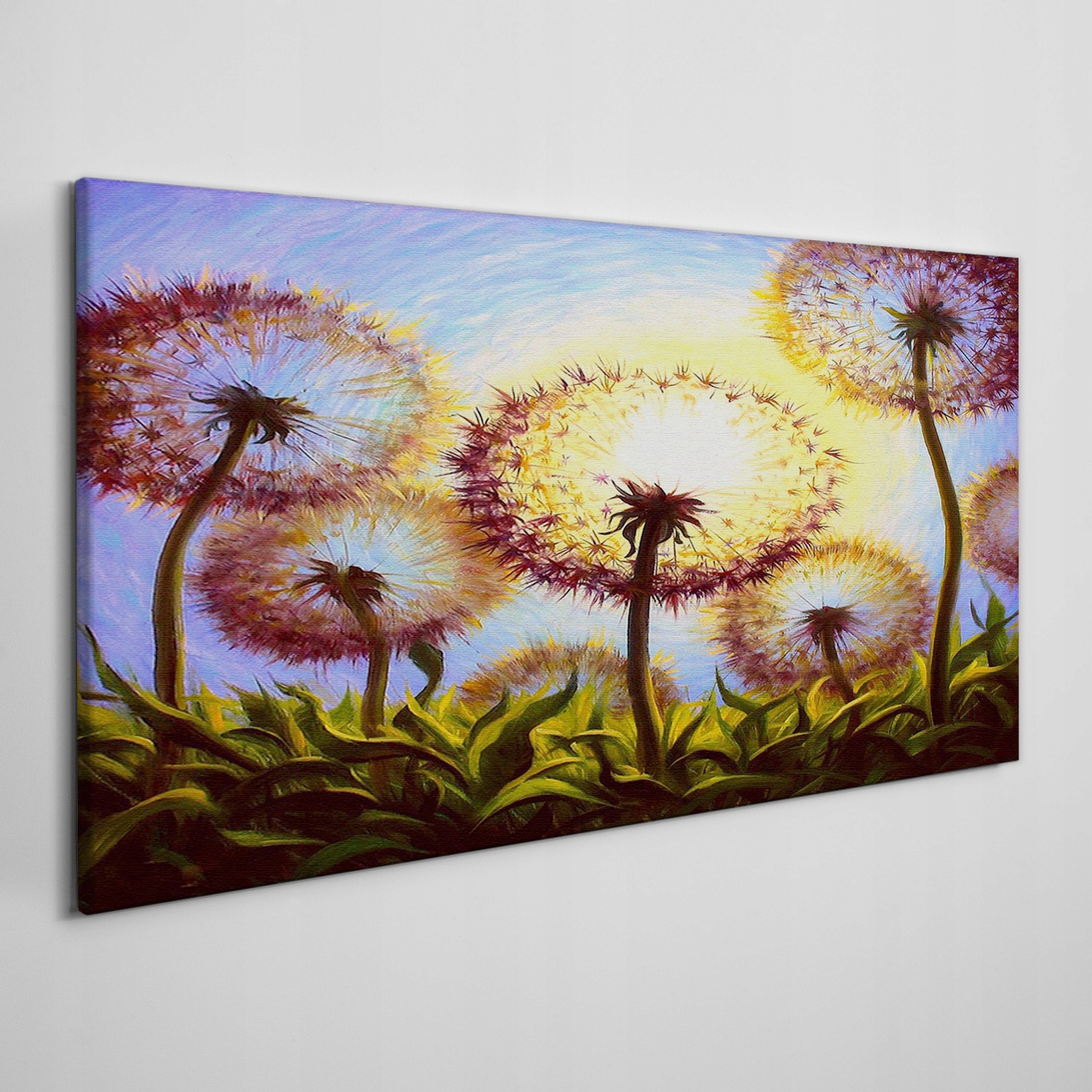 

Foto-obraz na ramie płótno Kwiaty mlecze 120x60 cm