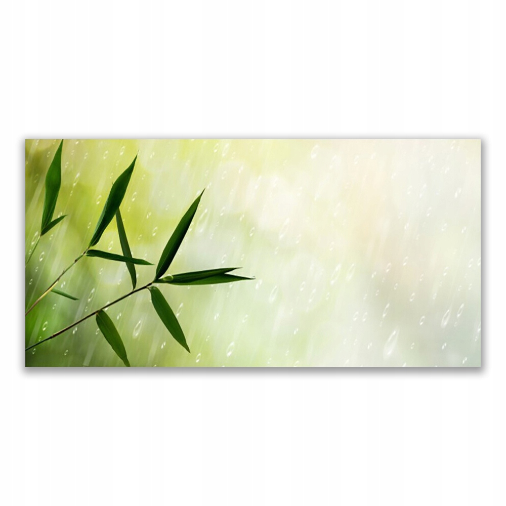 

Obraz na ścianę z grafiką 120x60 cm Liście Deszcz