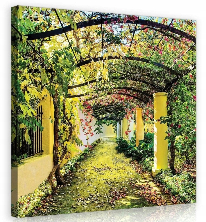 Obraz 80x80 Alej Luková pergola zelený tunel sluneční světlo listy