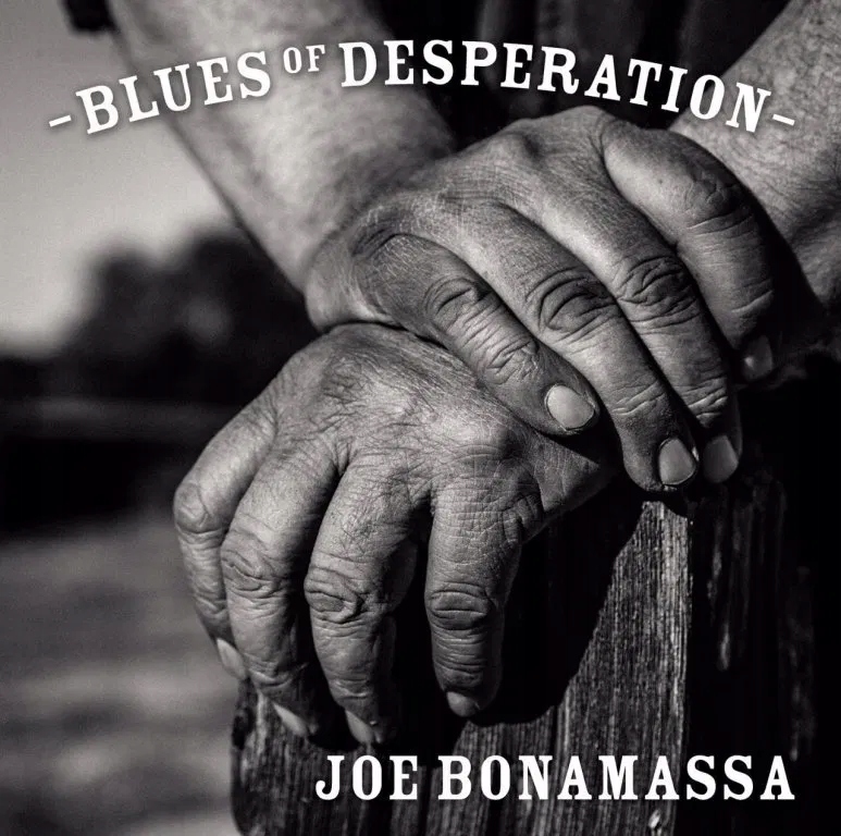 Bonamassa Joe: Blues of Desperation CD