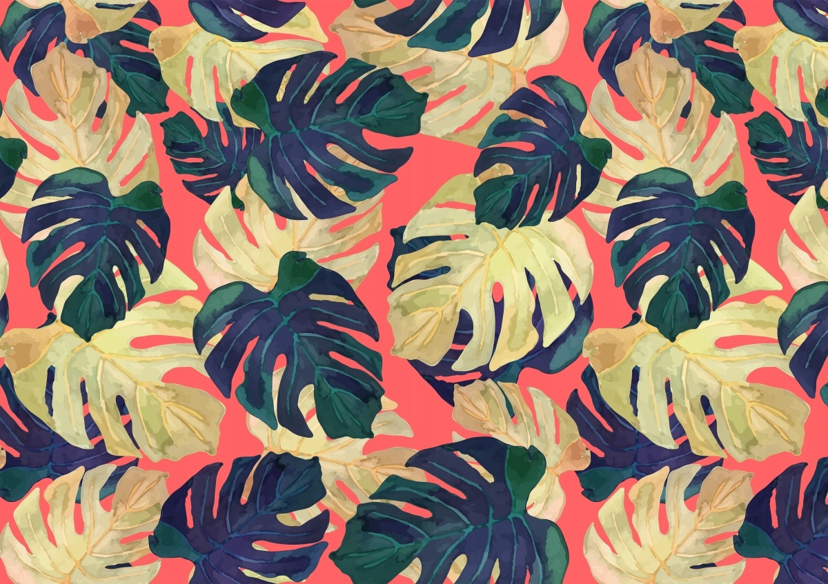 

Fototapeta Flizelinowa Liście monstery 312x219