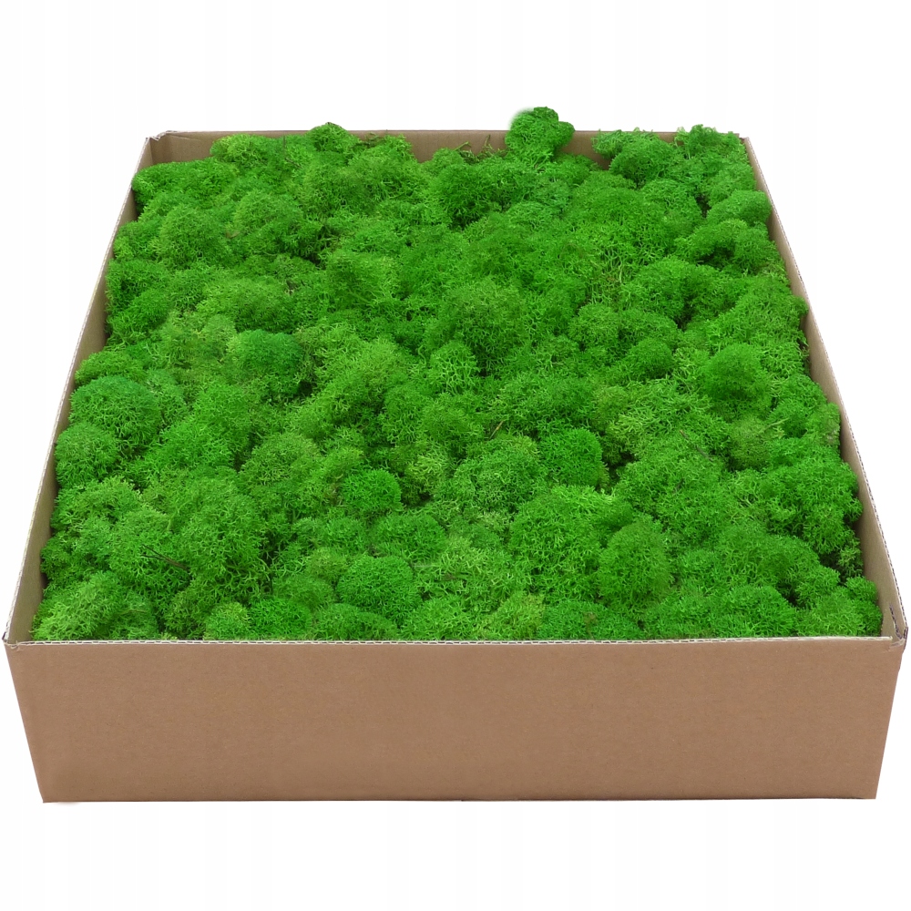 

Mech Chrobotek Premium Apple Green Karton 1kg