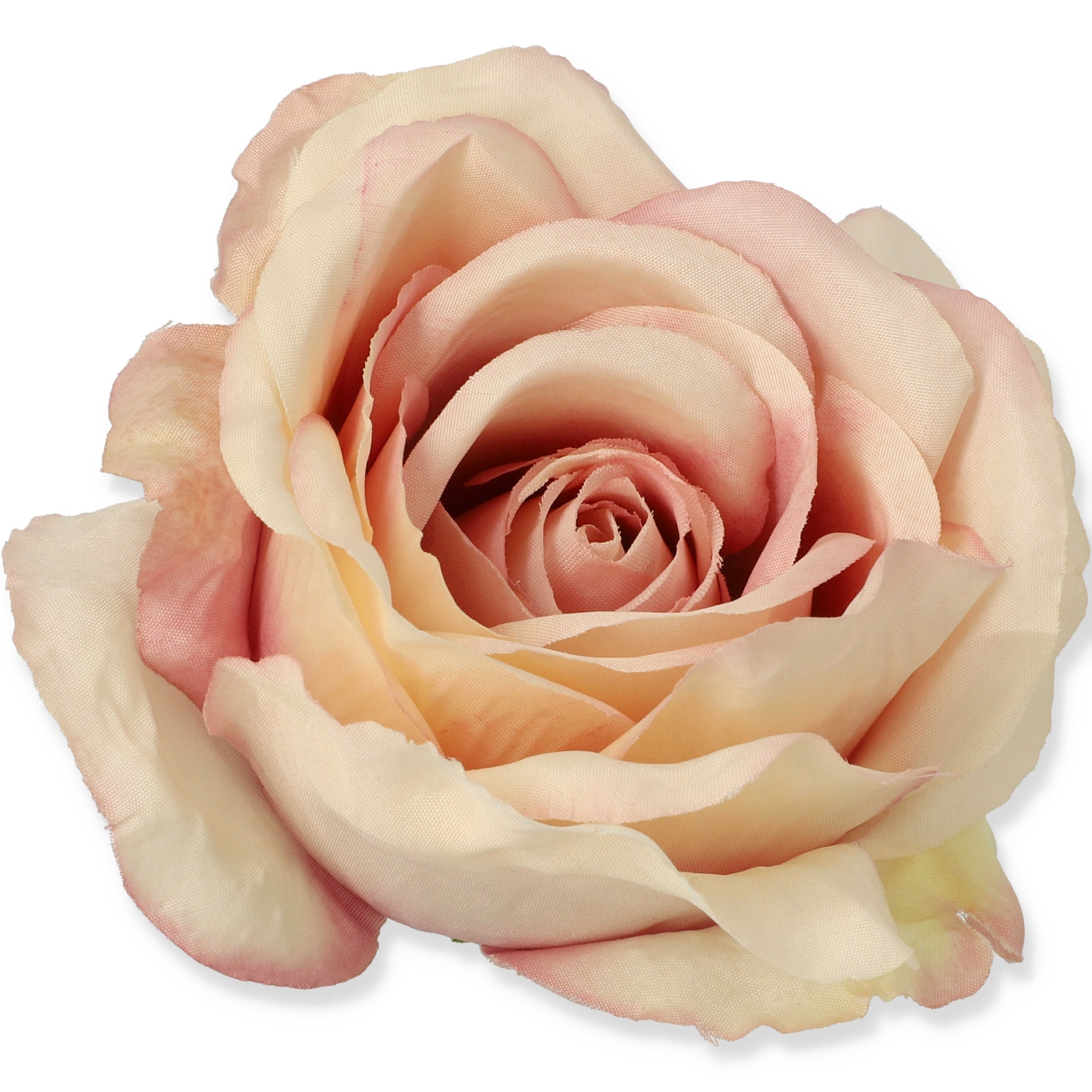 

Róża piękna główka kwiatowa Col-88