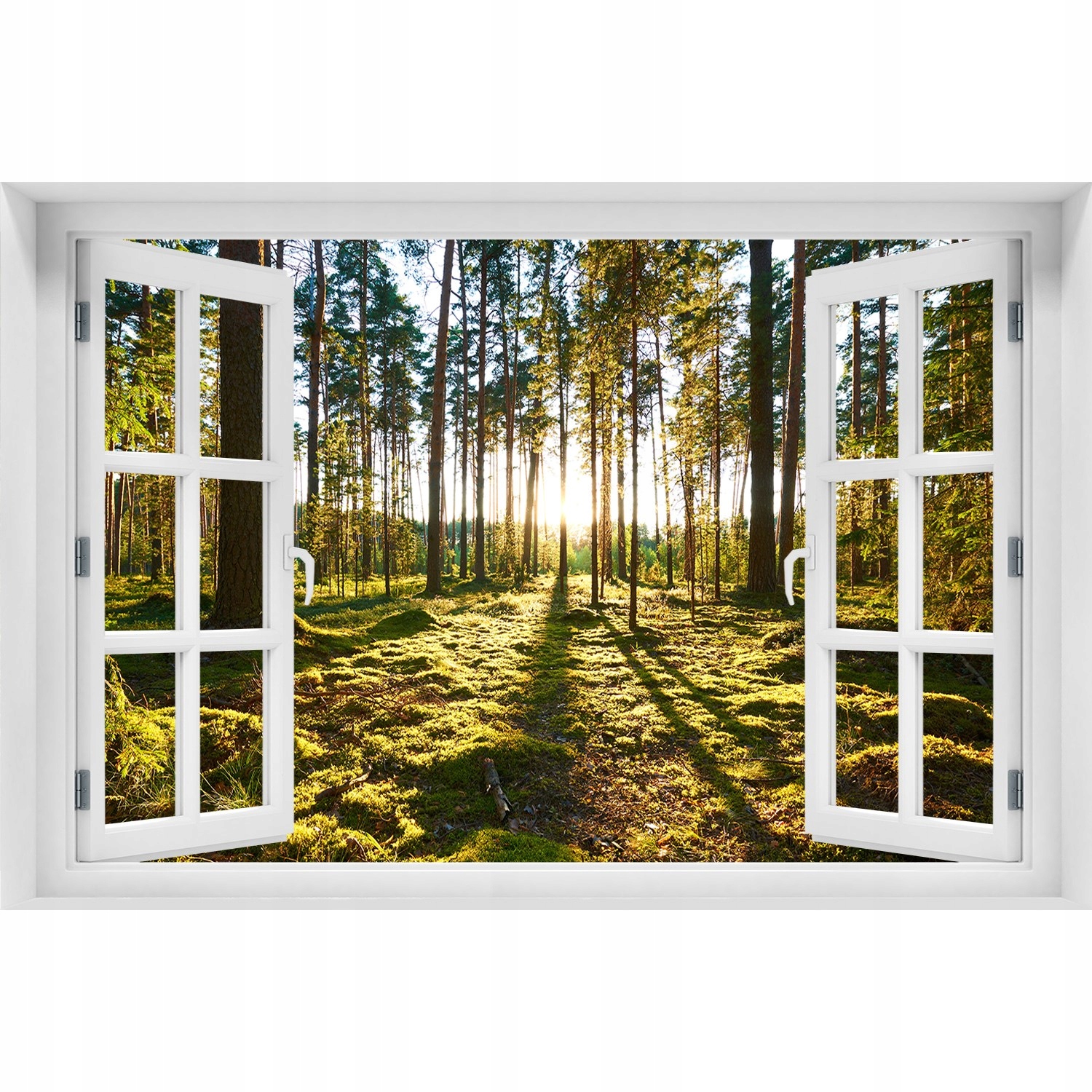 

Naklejka ścienna fototapeta Okno Las sosnowy