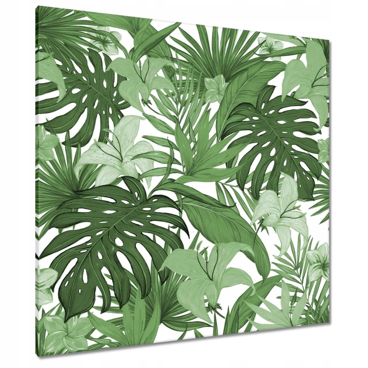 Obrazy 90x90 Monstera Moderní vzor