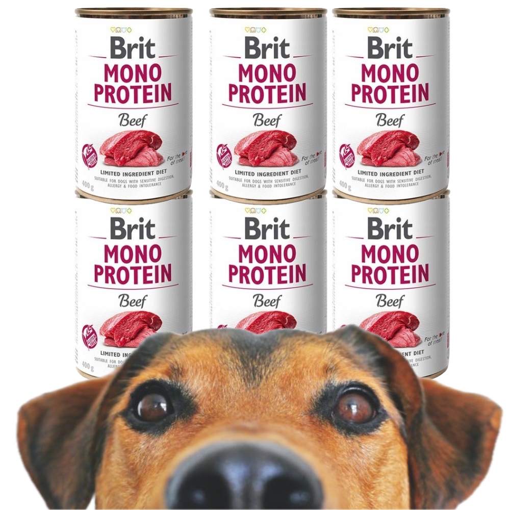 Levně Brit Vlhké Krmivo Care Mono Protein Hovězí 6 Ks *400g