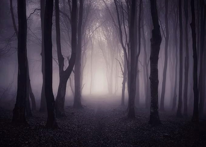 Fotografické pozadí na Halloween s motivem temného lesa – 2,1 x 1,5 m