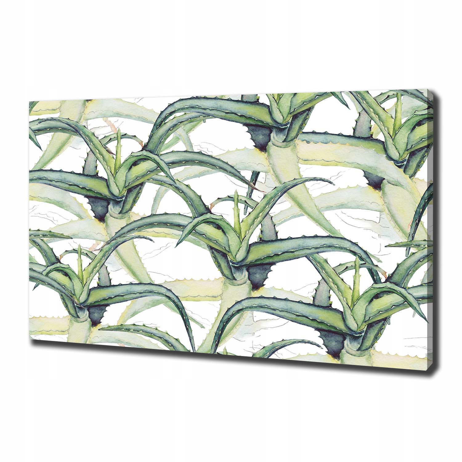 

Foto obraz ze zdjęcia do salonu Aloes 100x70 cm