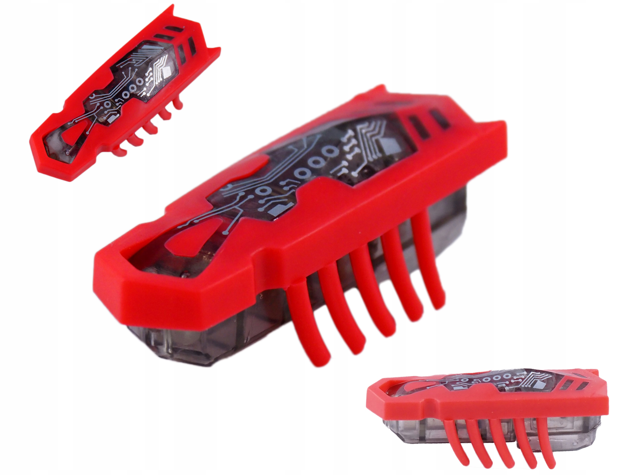 

Karaluch Do Gry Zabawka Dla Kota Insekt Cucaracha