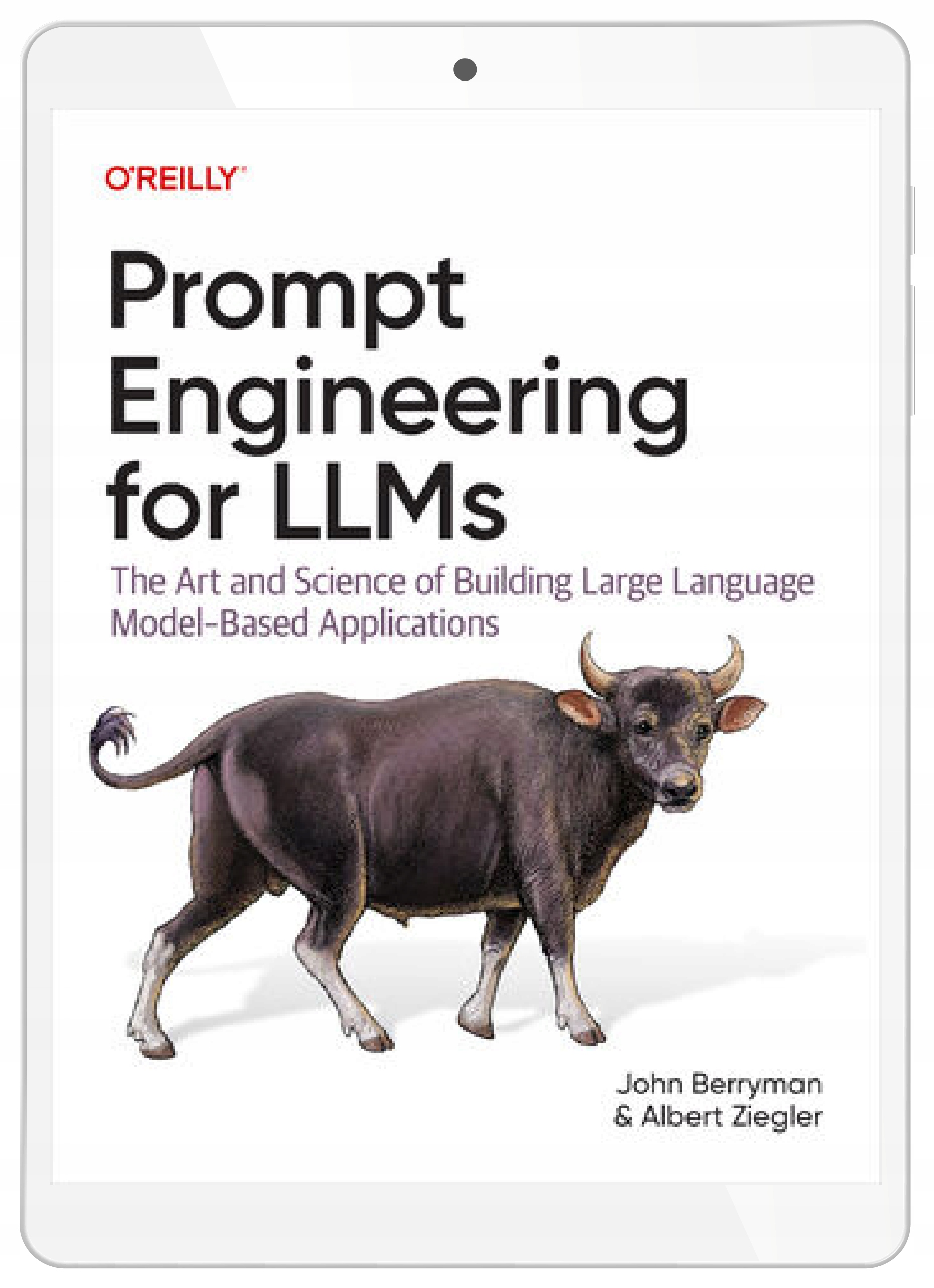 Prompt Engineering for LLMs