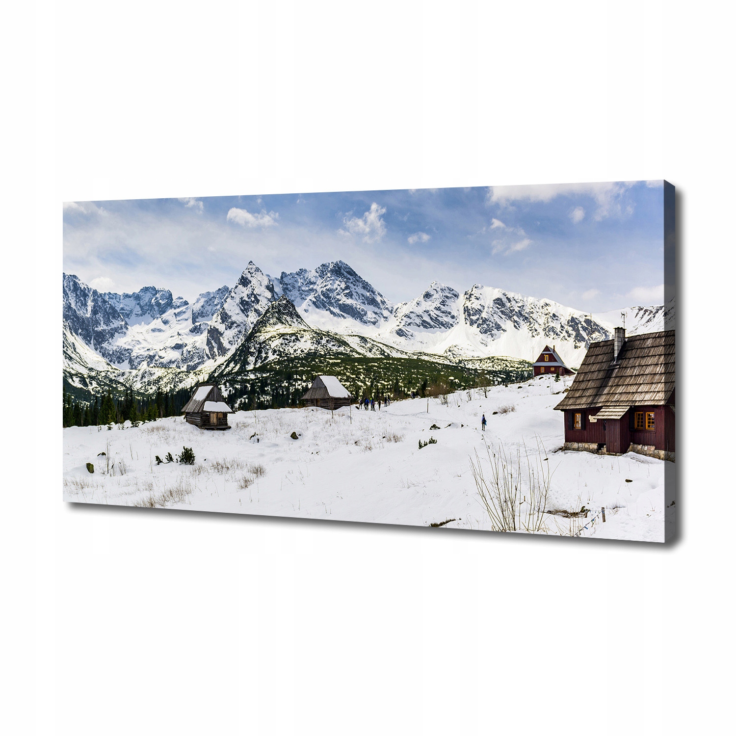 

Foto obraz canvas na ścianę Hale Tatry 140x70 cm