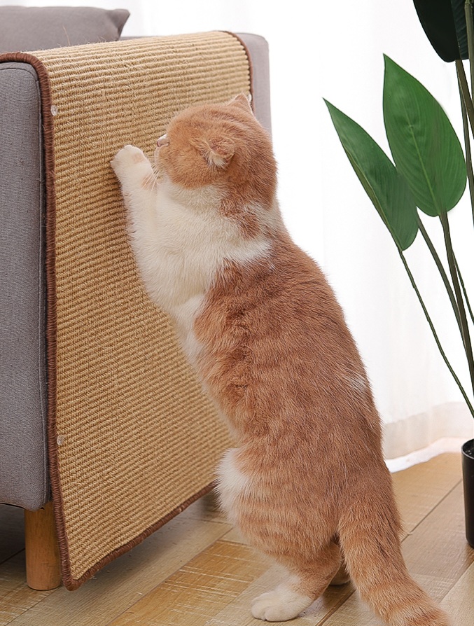 Levně Škrabací podložky EcoKočka 60