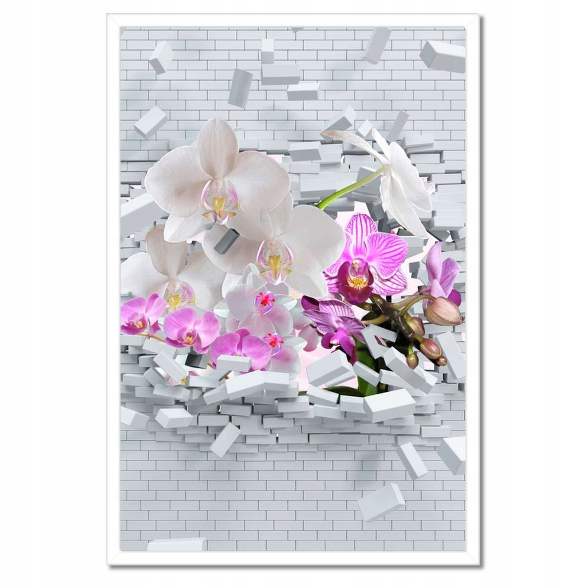 Plakáty v rámu 40x60 Orchidejem ve zdi Květiny