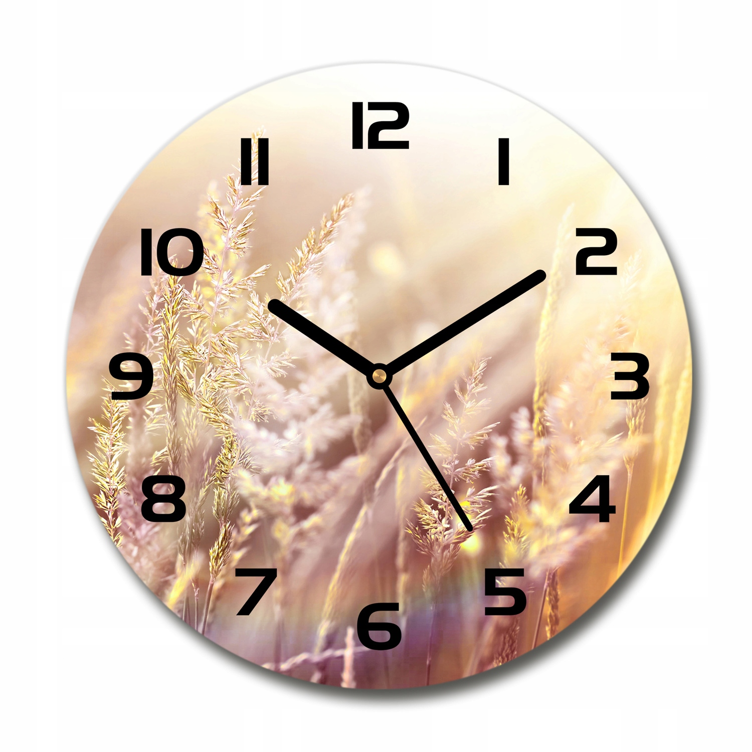 

Okrągły cichy szklany zegar Wysoka trawa fi 30 cm