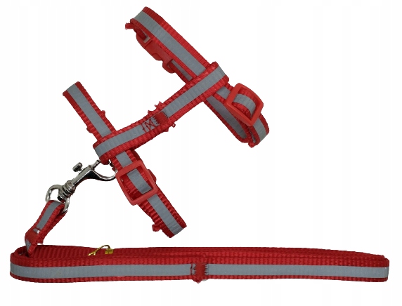 

szelki dla kota kotka 19-31 cm smycz 120 cm