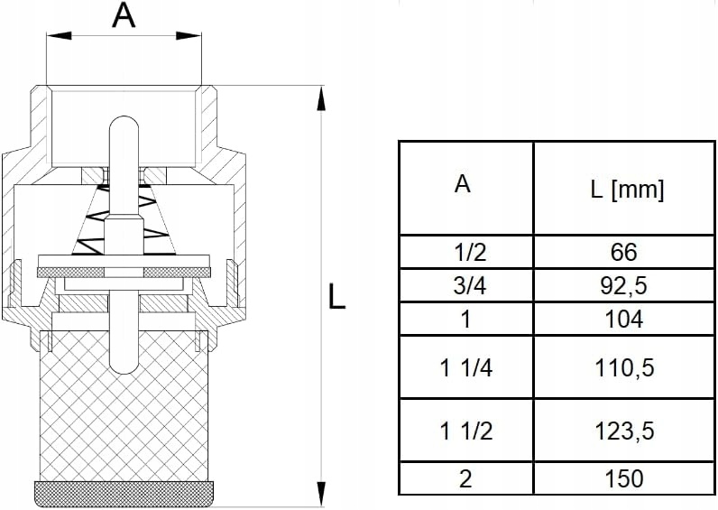 Zawór zwrotny mosiężny z koszem ssącym 1" Rodzaj zwrotny