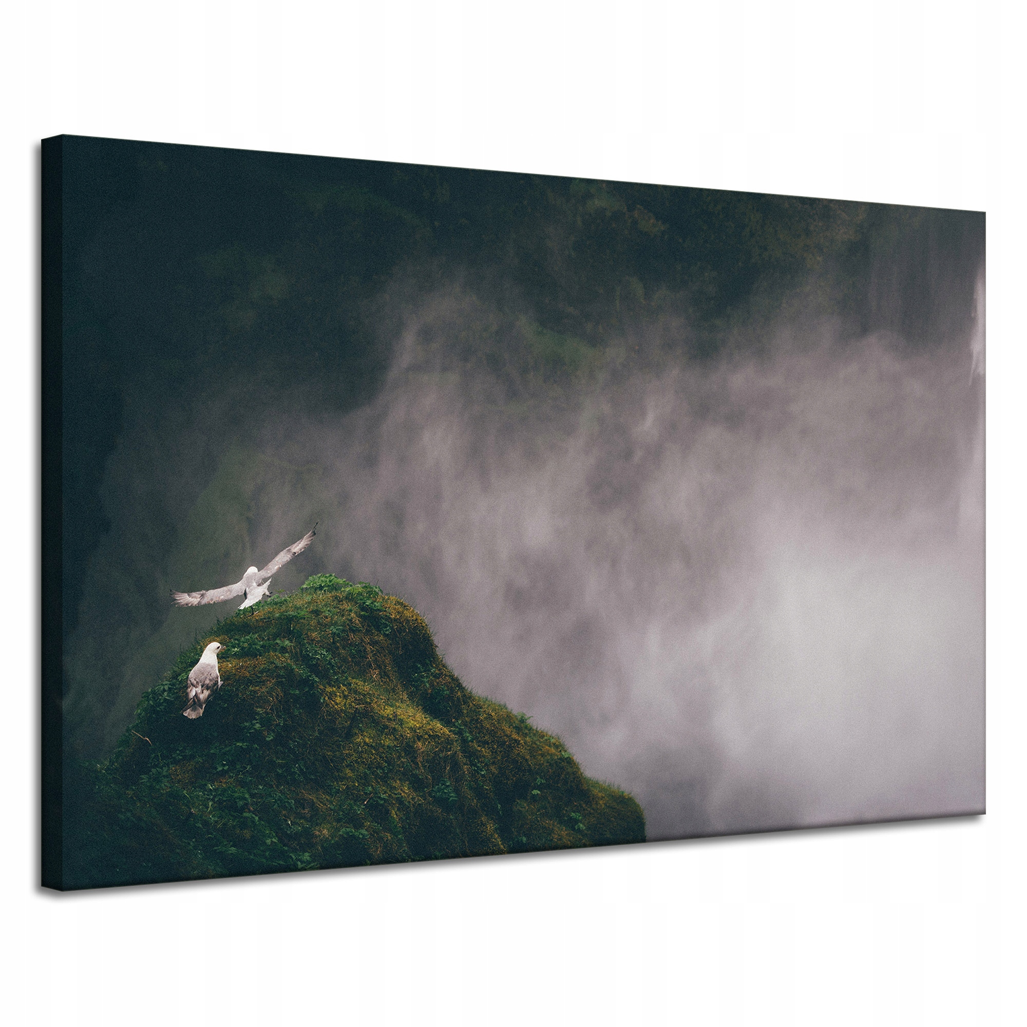 Obraz Canvas Příroda Z ptačí perspektivy Vrchol 120x80 cm