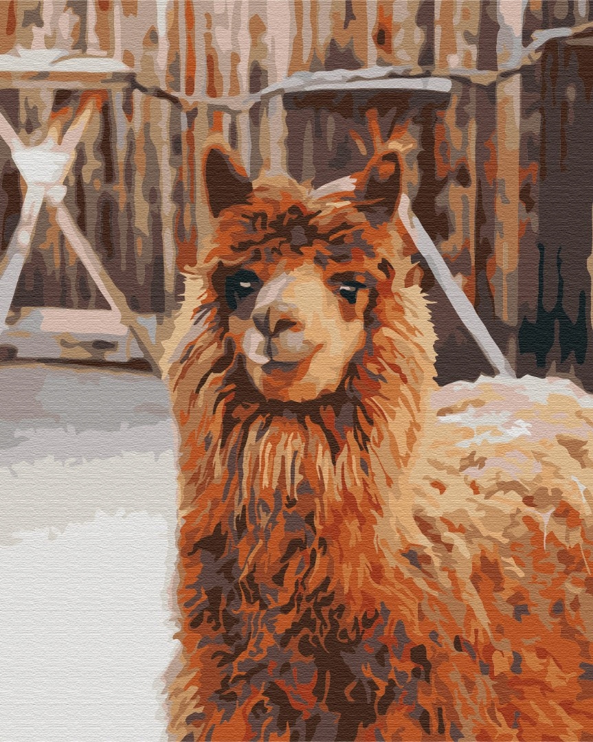 Malování podle čísel Paint it! Lama 40x50 cm