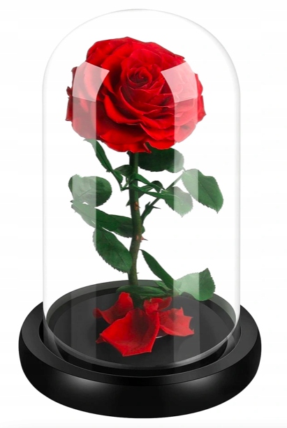 

Róża Czerwona Wieczna LEDowa Dzień Mamy