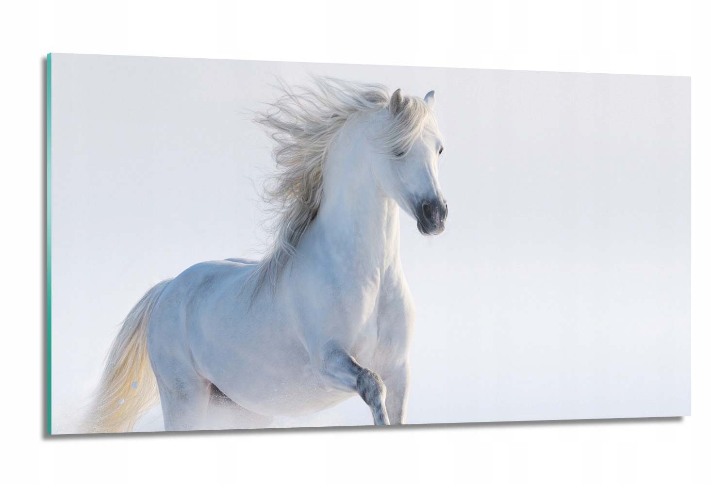 sklenená doska Biely kôň sneh zima 120x60 s fotografiou