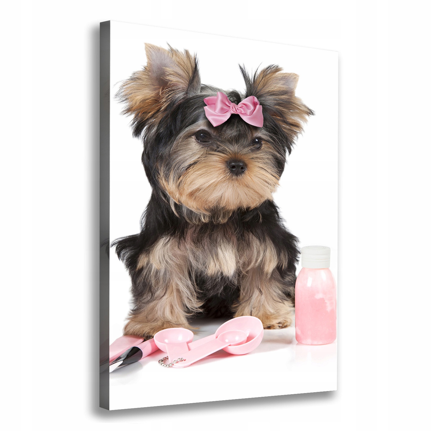 

Foto obraz na płótnie Yorkshire kosmetyki 70x100cm