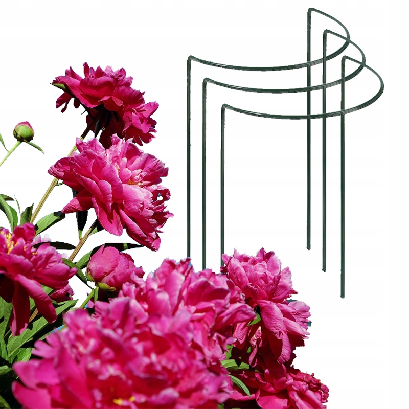Podpórka do roślin piwoni 3 sztuki metalowa 75 cm Rodzaj drabinka