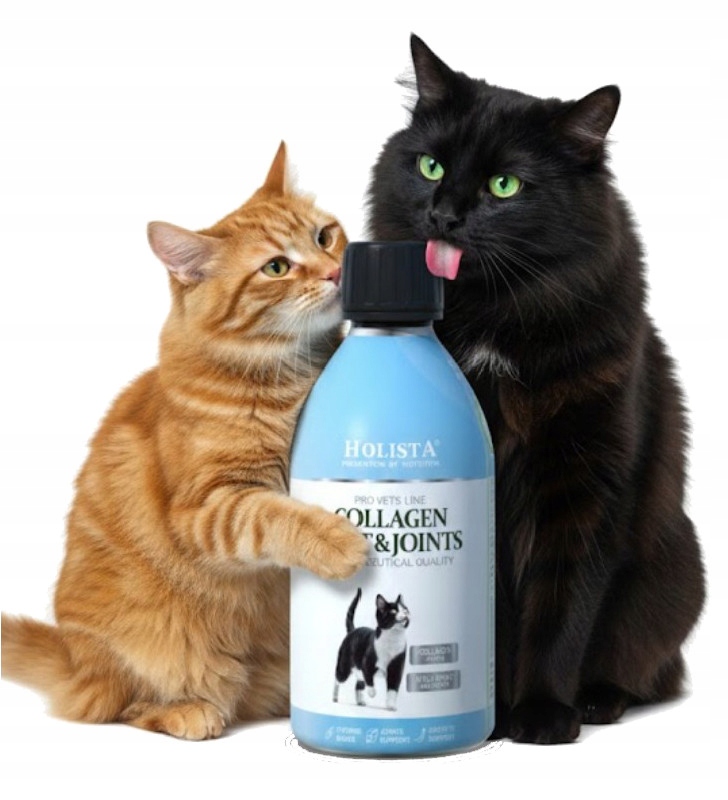 Levně Holista Collagen Cats Coat & Joint 250 ml Kolagen Typ II Sirup Pro Kočky