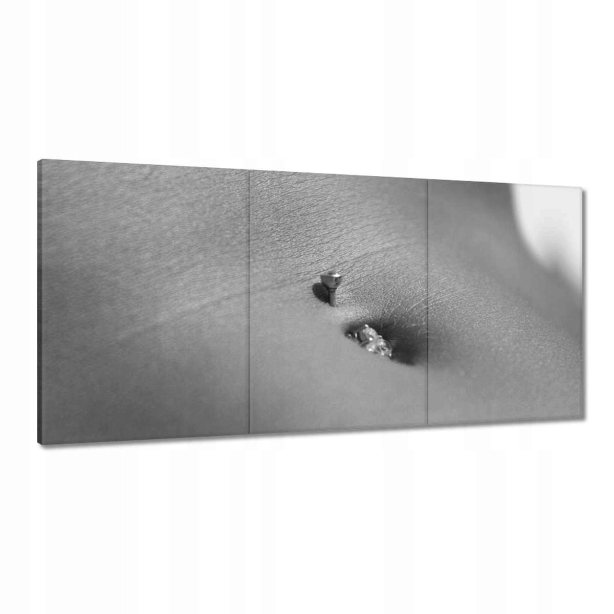Obrazy 180x90 Body piercing
