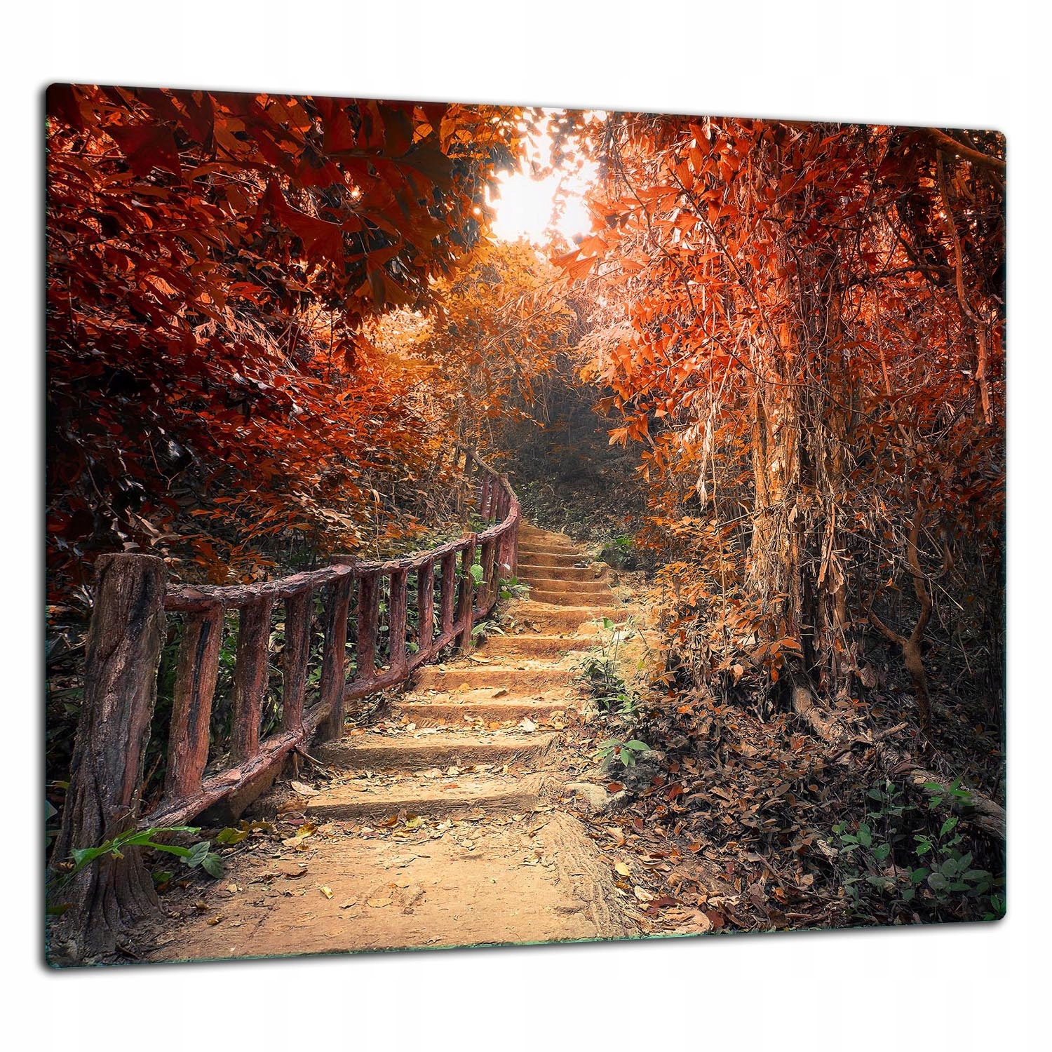 Ochranná Skleněná Deska Panel Lepidlo 65x60 Krajina Tvrzené sklo 7v1