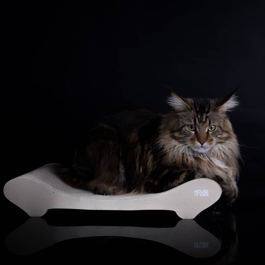 Levně pelíšek škrabadlo pro pro kočky od House of Cats