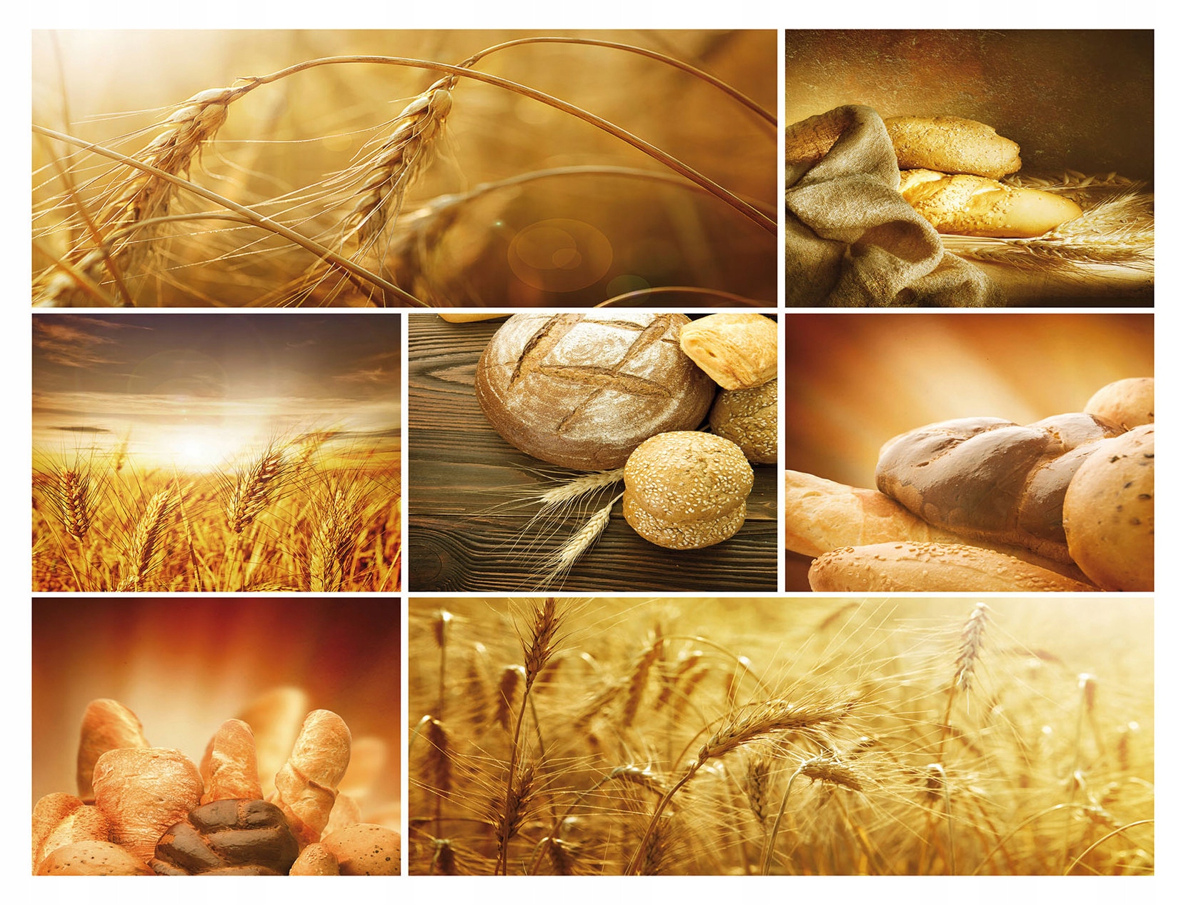 Fototapeta Chléb a obilí Západ Slunce rustikální vinylová 208x146 lepidlo