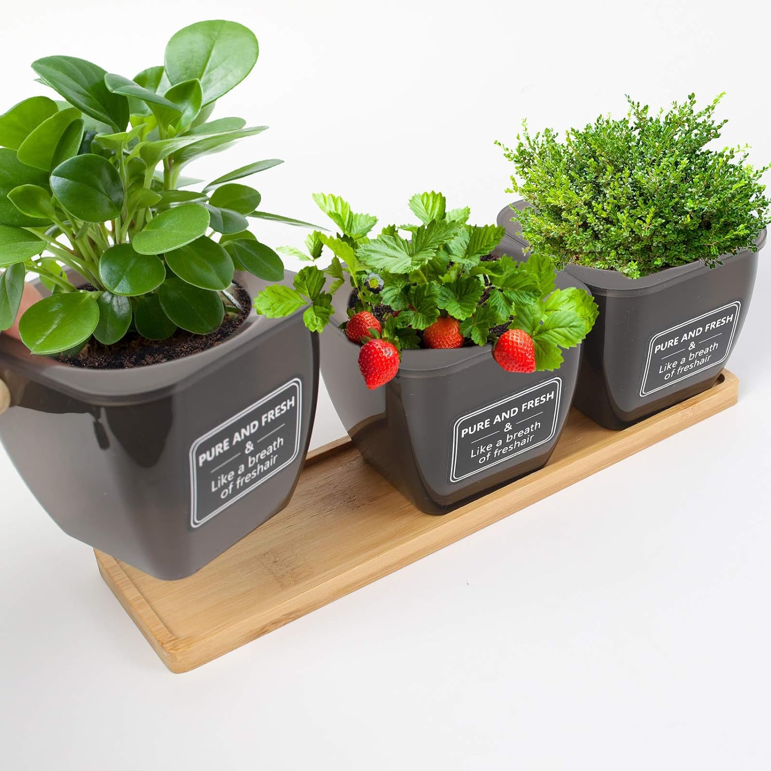 OSŁONKA DONICZJA DONICZKI NA ZIOŁA X 3 SZT. Z PODSTAWĄ ELEGANCKIE Marka inna