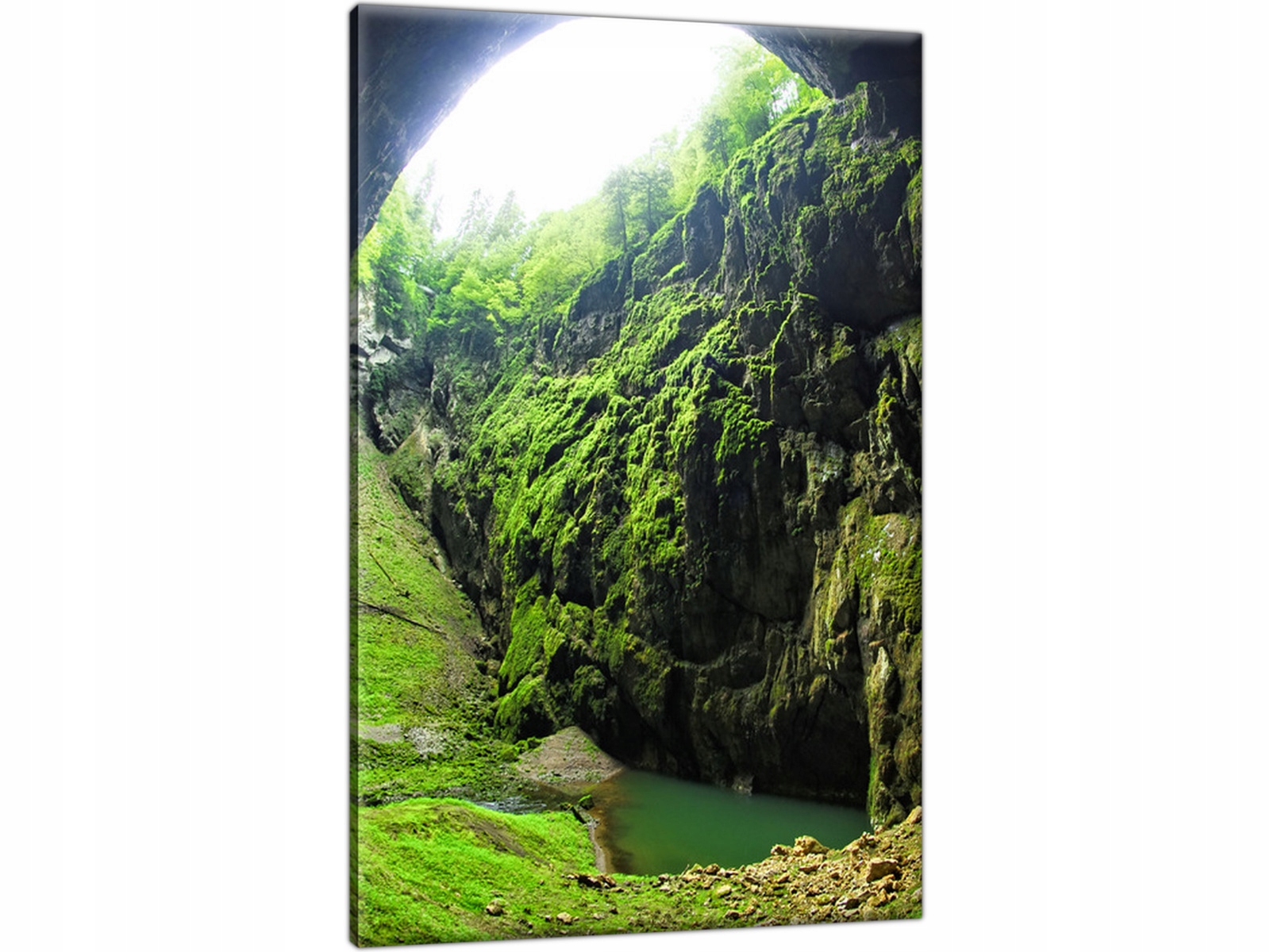 

Obraz do salonu Pejzaż 60x90 Nowoczesny obraz