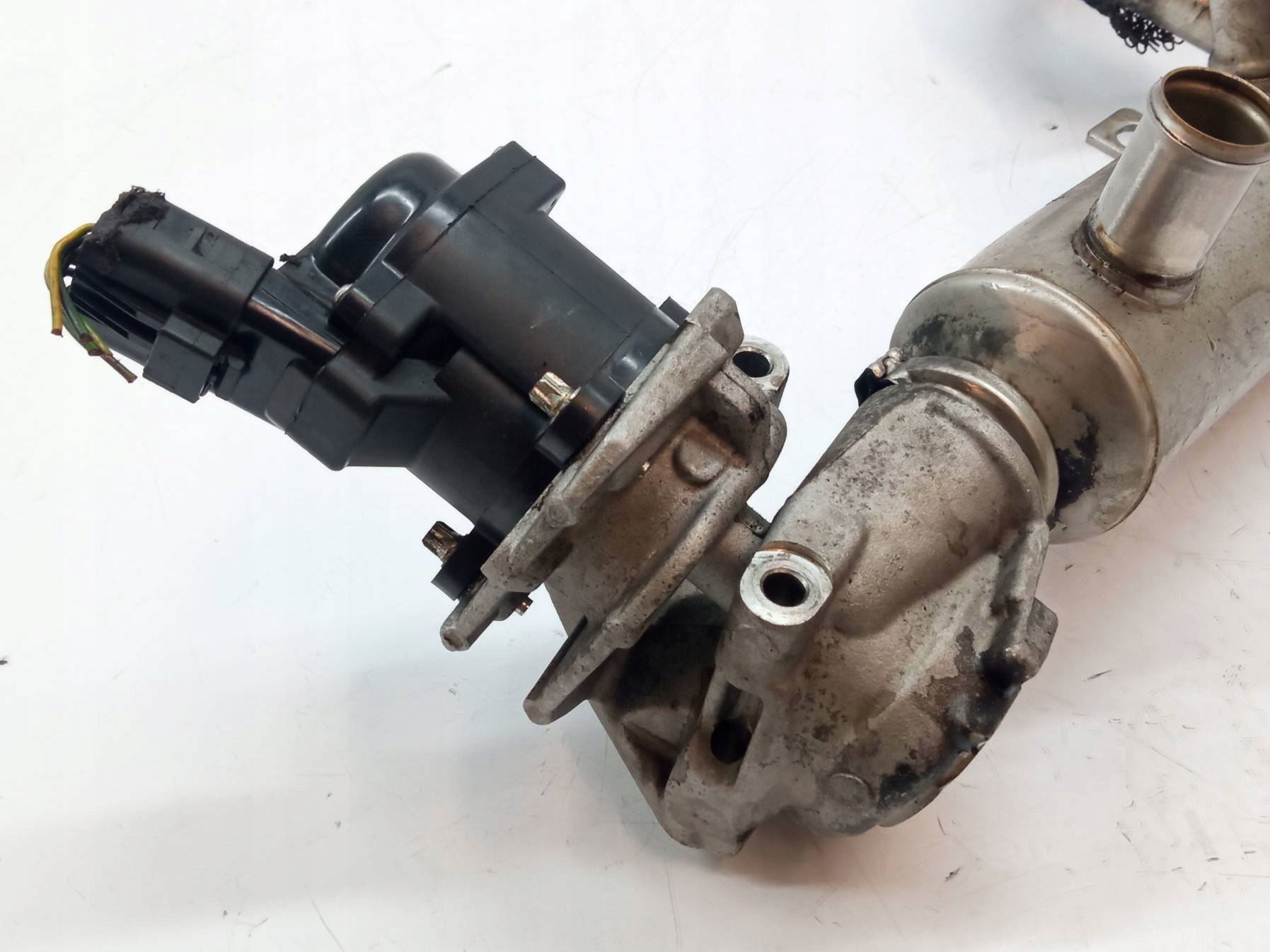Abgaskuehler AGR AGR-Ventil 3M5Q-9F464-BC 1.6 D Ford Focus Mk2 (2004-2011)