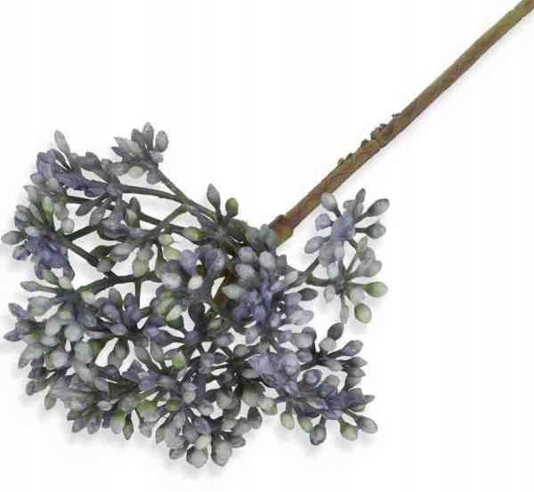 

Gipsówka gałązka Dodatek do bukietów Blue