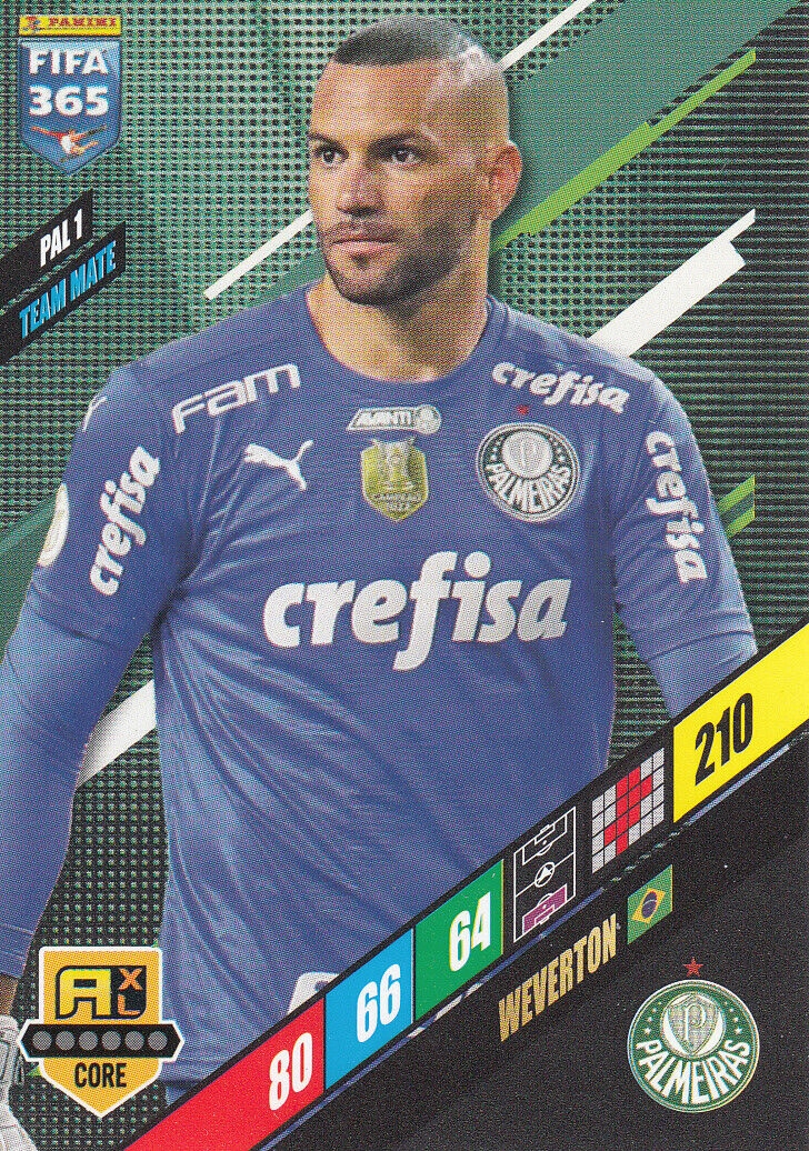 Fifa 365 2024 Team Mate Weverton Pal 1