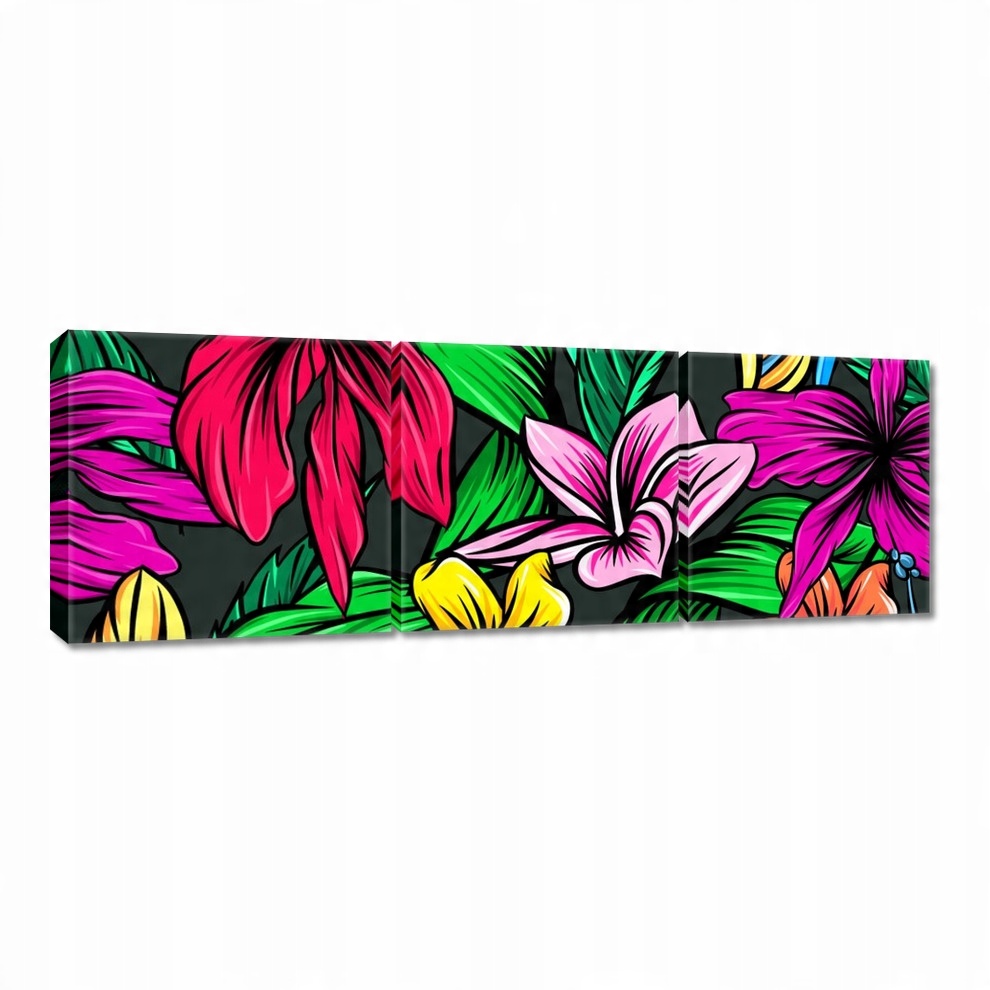 

Obrazy 60x20 Tropikalny liść Hibiskus