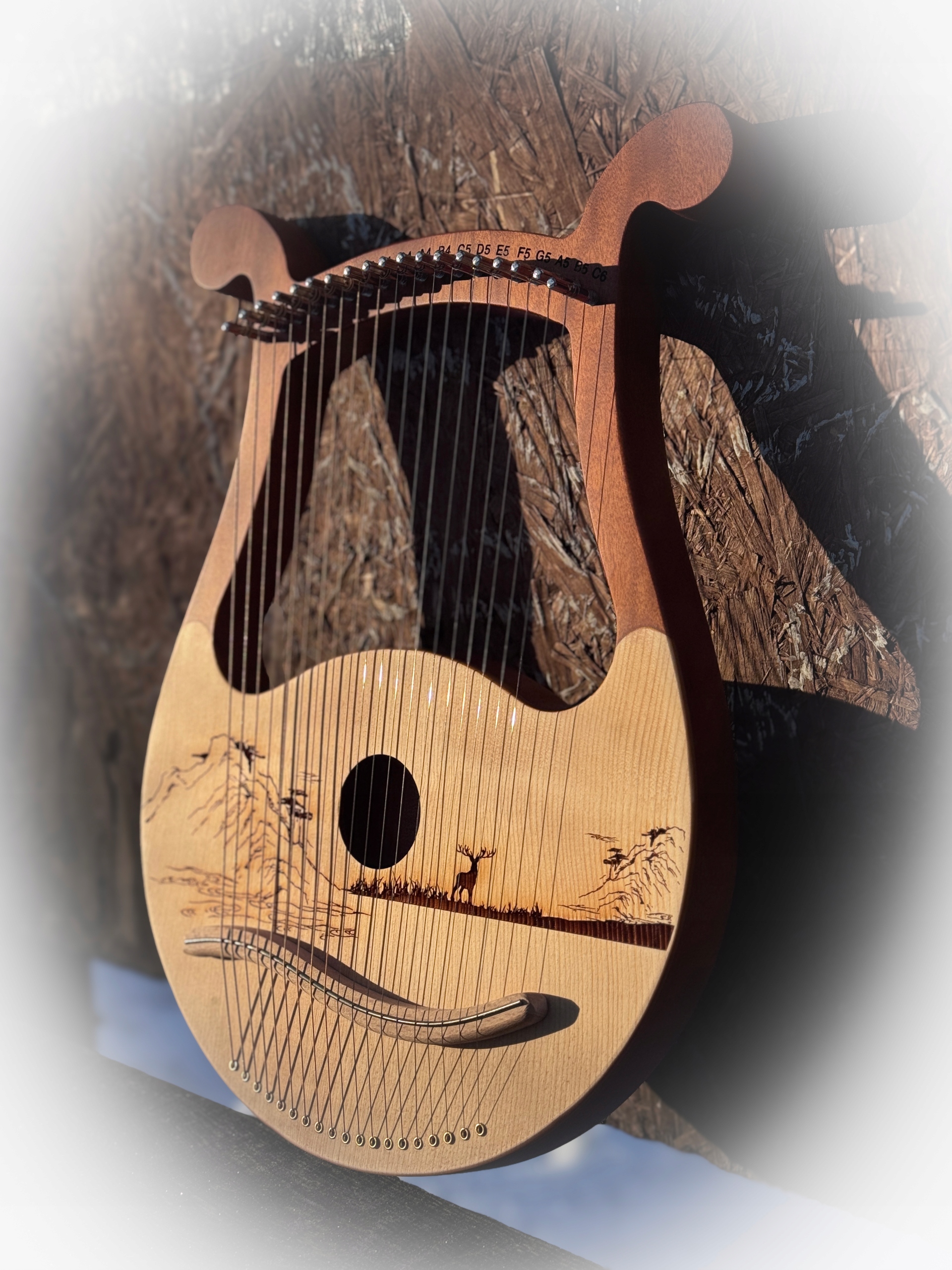 Krásná Lyrická Harfa Lira Z Přírodního Dřeva, Velký Set XXL