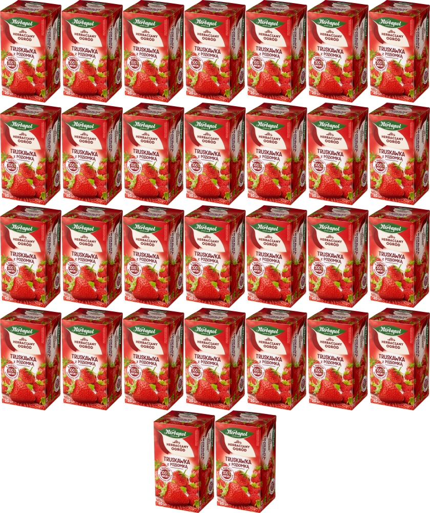 Herbapol Herbaciany Ogród Truskawka z poziomką 20TB x30
