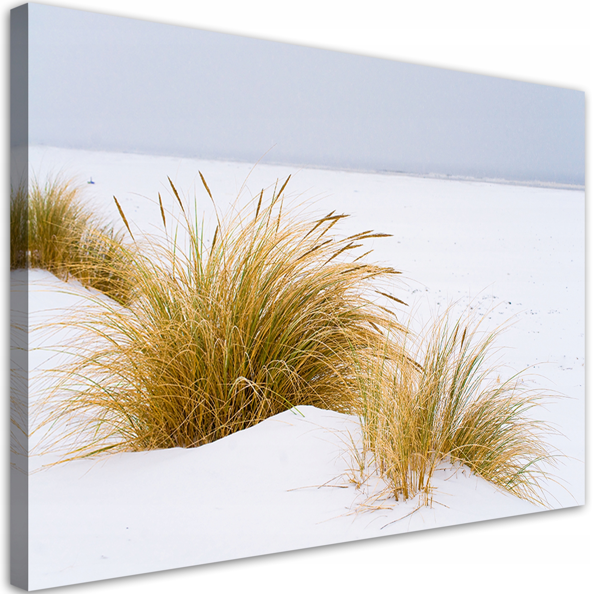 Obraz, Duny na zlatém písku 60x40