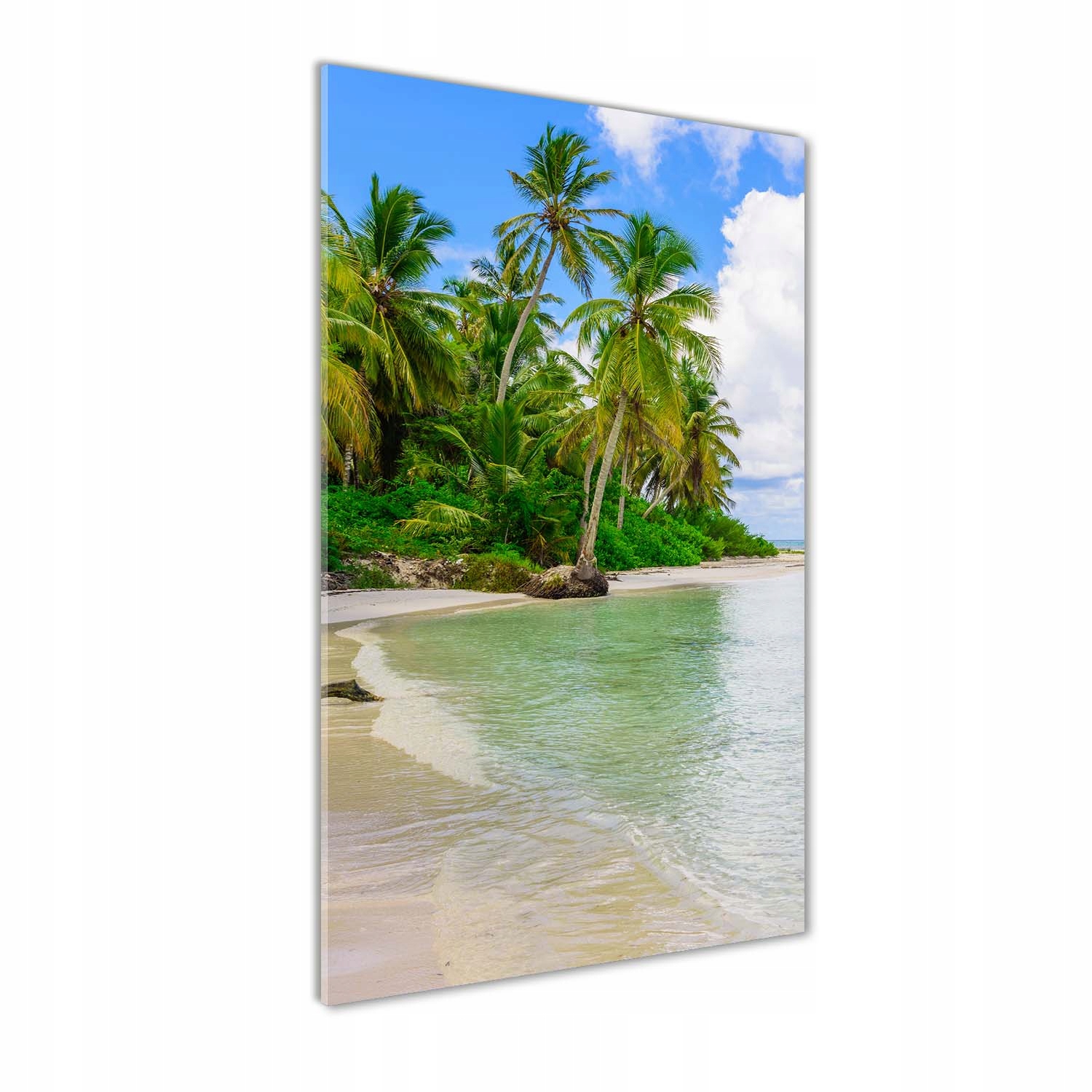 

Foto obraz szkło akrylowe Tropikalna plaża 70x140