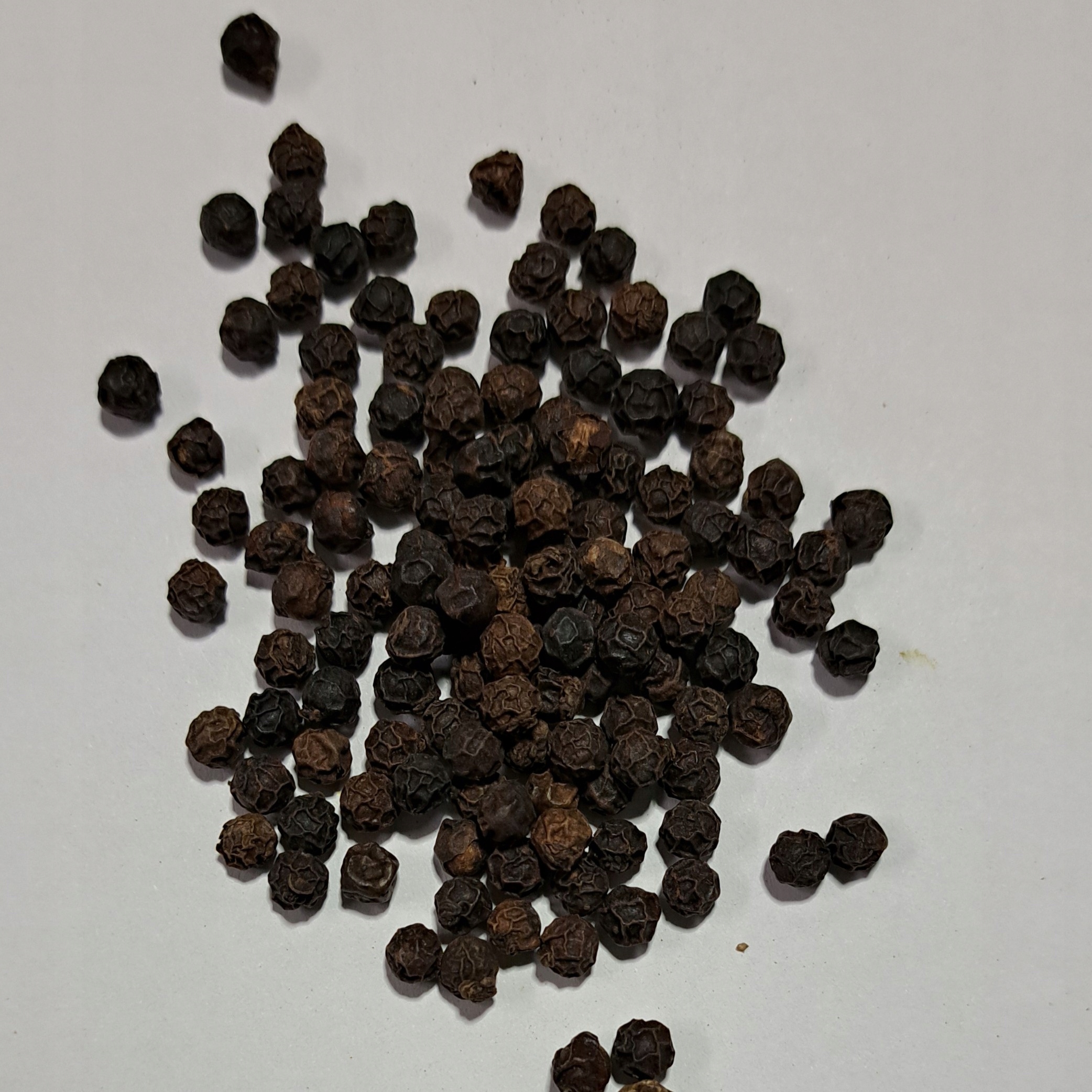 Levně Horský pepř Banasura -indie 1 Kg Rafex