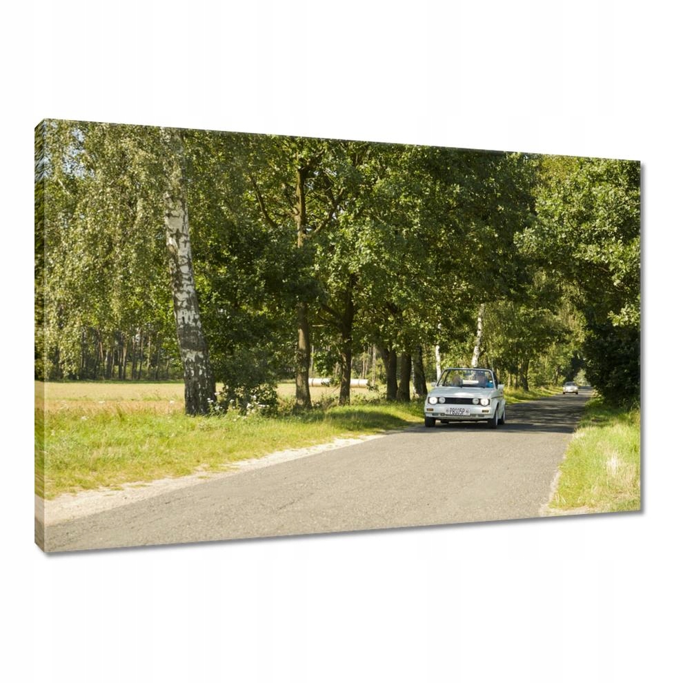 

Obrazy 90x60 Golf I 1 VolksWagen