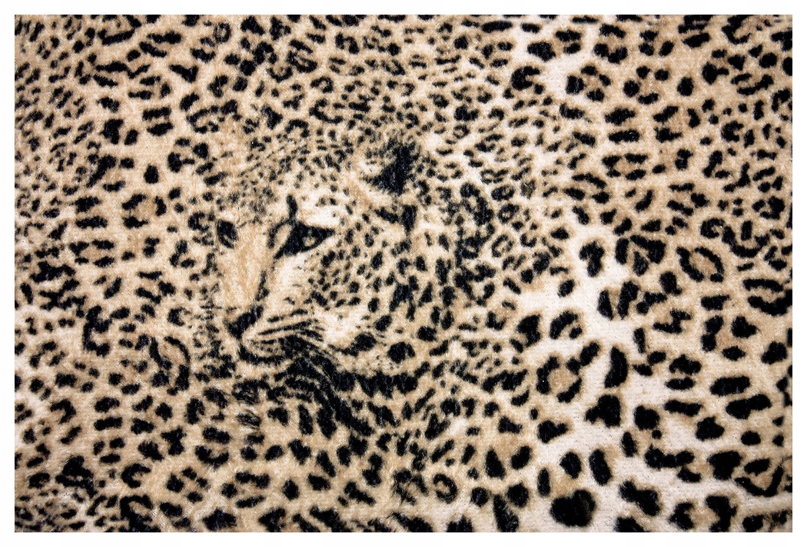 Fototapeta flizelina Leopard Divoké zvíře s skvrnami kamufláž 250x175 lepidlo