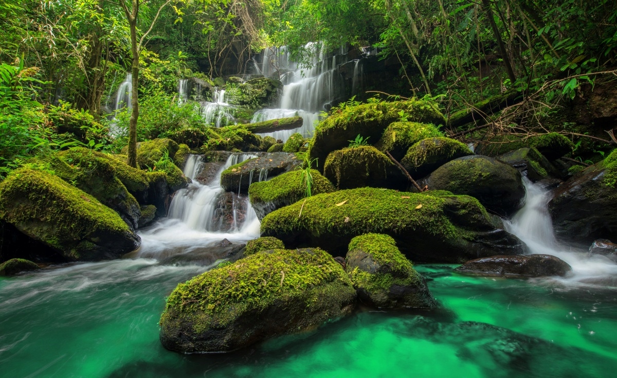 

Fototapeta Flizelinowa Wodospad w dżungli 416x254