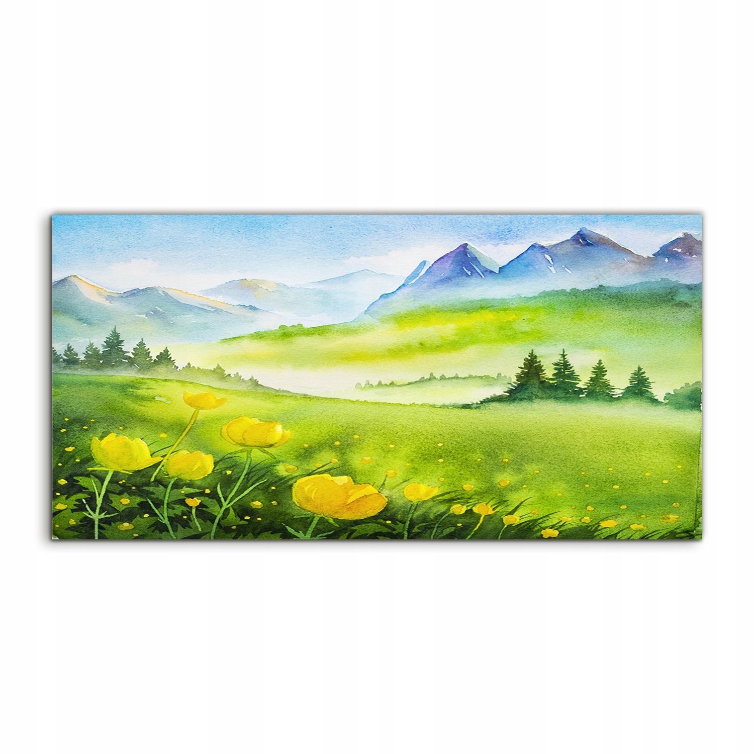

Obraz akrylowy 100x50 ścienny Góry Krajobraz Łąka